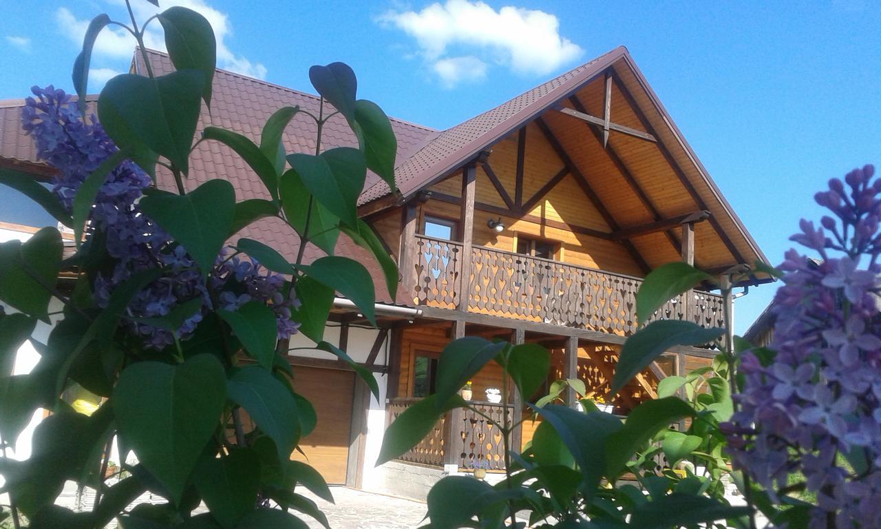 Cottage Palitra Yablunytsya Exterior foto